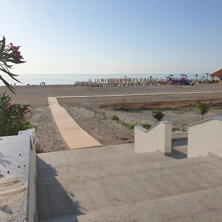 Teona 110 In Axxis Nova